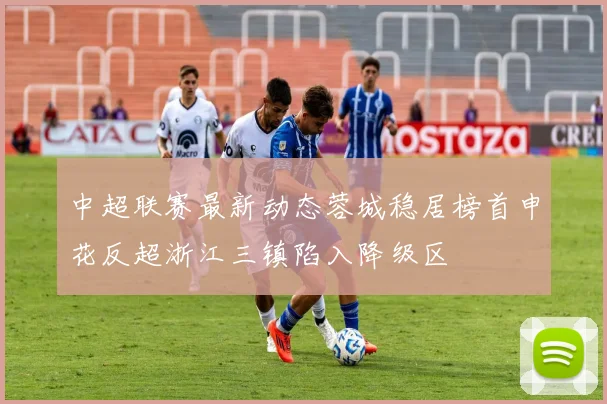 中超联赛最新动态蓉城稳居榜首申花反超浙江三镇陷入降级区